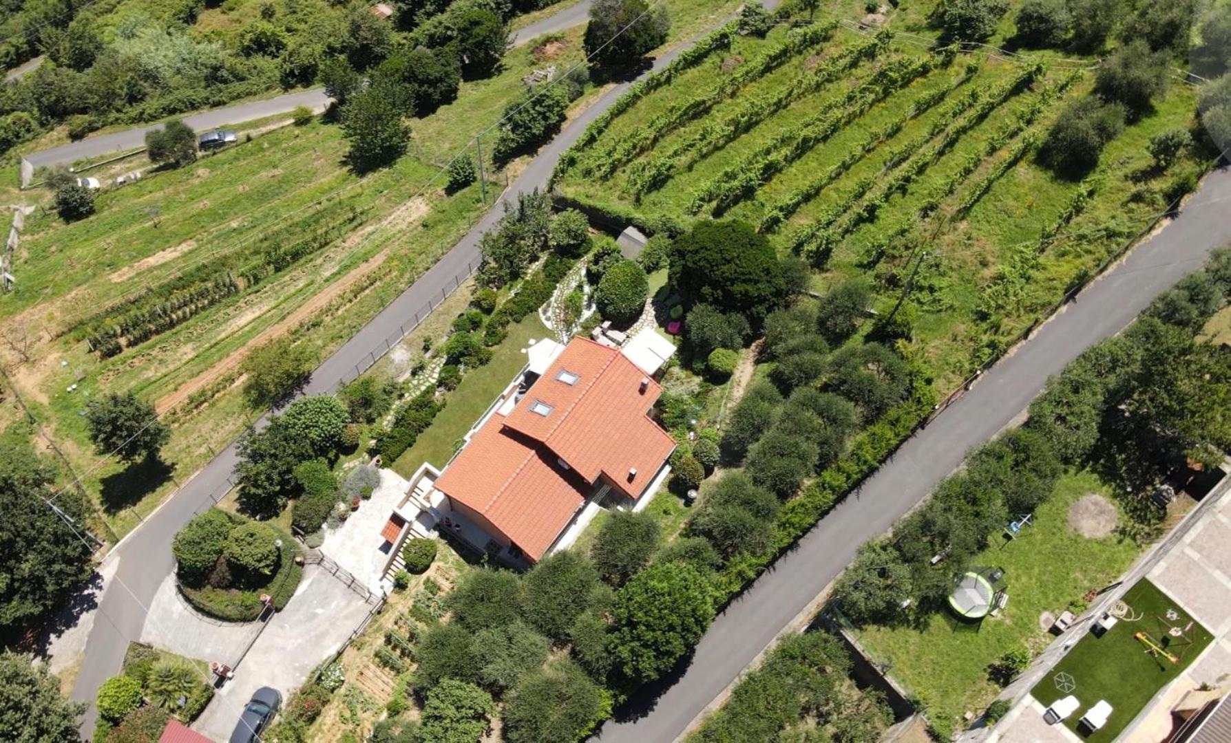 Villa Claudia Quiliano Exteriör bild