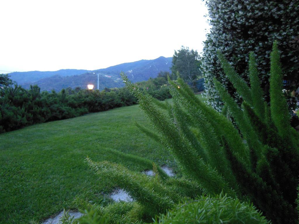 Villa Claudia Quiliano Rum bild